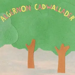 Some Kind of Cadwallader by Algernon Cadwallader