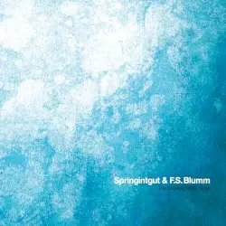The Bird and White Noise by Springintgut & F.S. Blumm