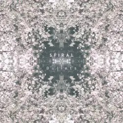 Bullets by Spiral
