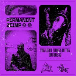 THE LIGHT SHINES IN THE DARKNESS by PΣRMANΣNT//ZΣIMP