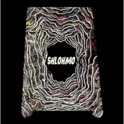 Shlomoshun Redux by Shlohmo