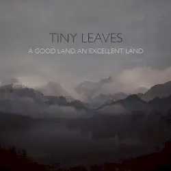A Good Land, an Excellent Land by Tiny Leaves