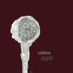 Rudy by Calibre