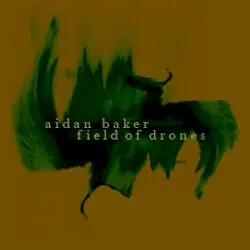 Field of Drones by Aidan Baker