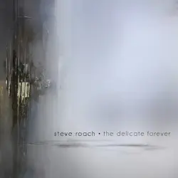 The Delicate Forever by Steve Roach