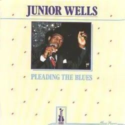 Pleading the Blues by Buddy Guy & Junior Wells