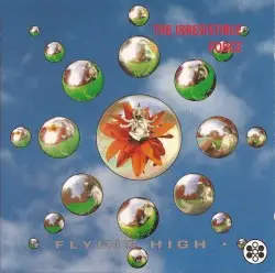 Flying High by The Irresistible Force