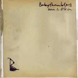 Down in Albion by Babyshambles
