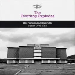 The Psychedelic Sessions Demos 1981–1982 by The Teardrop Explodes