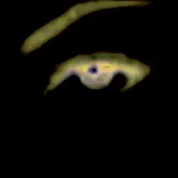 The Eye of She by Wallace Robert Holt