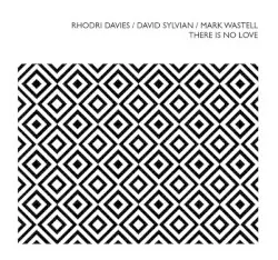 There Is No Love by Rhodri Davies / David Sylvian / Mark Wastell