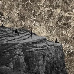 Nowhere by Esben and the Witch