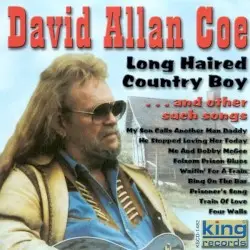 Long Haired Country Boy (... And Other Such Songs) by David Allan Coe