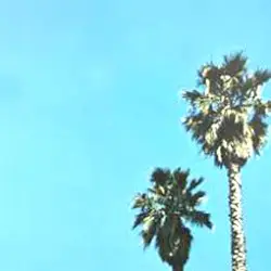 throwing balls in the air to get a baldessari by ACTIVE PRESENCE