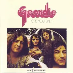 Hope You Like It by Geordie