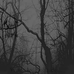 Wounded Solitude by Sadness