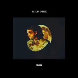 ILYSM by Wild Pink