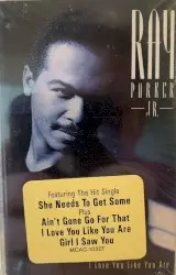 I Love You Like You Are by Ray Parker Jr.
