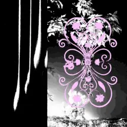 nendindalnen by coffret de bijoux