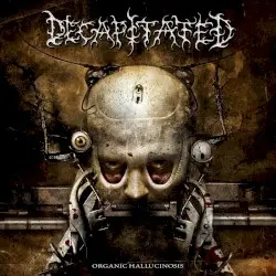 Organic Hallucinosis by Decapitated