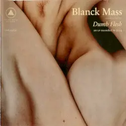 Dumb Flesh by Blanck Mass