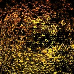 Ambient Code In Dream:32 by Deep N Beeper