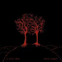 A New Skin by Clara Engel
