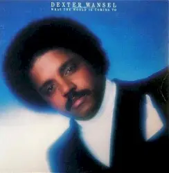 What the World Is Coming To by Dexter Wansel