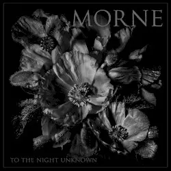 To the Night Unknown by Morne