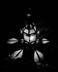 Wasted Songs and Instrumentals by Areal Kollen
