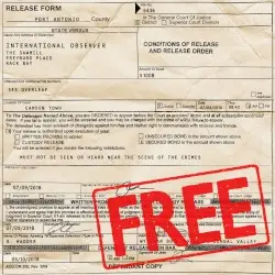 Free from the Dungeons of Dub by International Observer