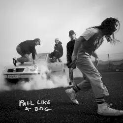 Pull Like a Dog by The Scratch