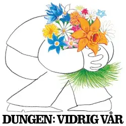Vidrig vår by Dungen