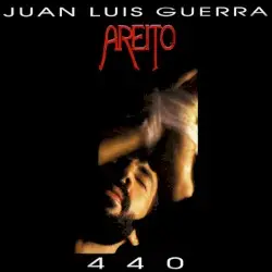 Areíto by Juan Luis Guerra 4.40