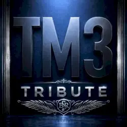 TRIBUTE by The Monkeys 3