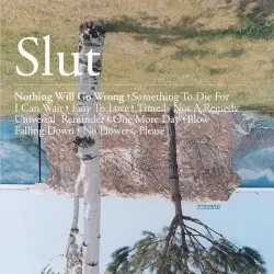 Nothing Will Go Wrong by Slut