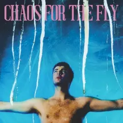 Chaos for the Fly by Grian Chatten