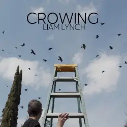 Crowing by Liam Lynch