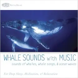 Whale Sounds With Music: Sounds of Whales, Whale Songs, and Ocean Waves by Bradley Joseph