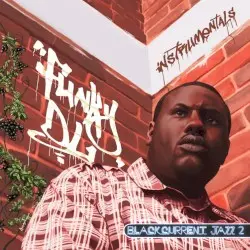 Blackcurrent Jazz 2 Instrumentals by Funky DL