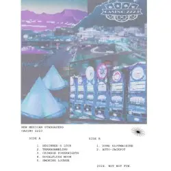 CASINO 2223 by New Mexican Stargazers