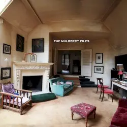 The Mulberry Files by Funki Porcini
