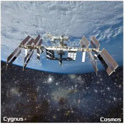 Cosmos by Cygnus