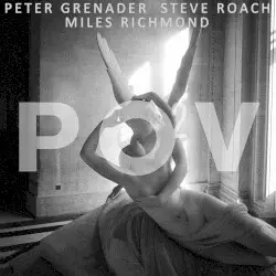 POV2 : The Case for Square Waves While Searching for Happy Accidents by Peter Grenader, Steve Roach, Miles Richmond