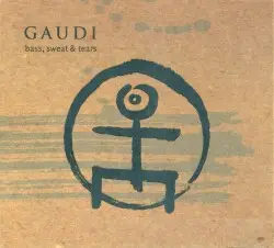 Bass, Sweat & Tears by Gaudi