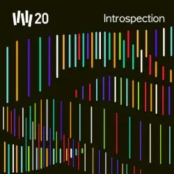 VW20: Introspection by Vince Watson
