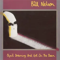 Quit Dreaming and Get on the Beam by Bill Nelson
