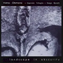 Landscape in Obscurity by Vidna Obmana with Capriolo Trifoglio + Diego Borotti
