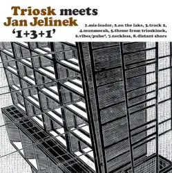 1+3+1 by Triosk meets Jan Jelinek