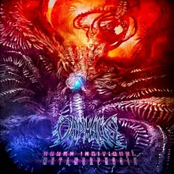 Human Individual Metamorphosis by Orphalis